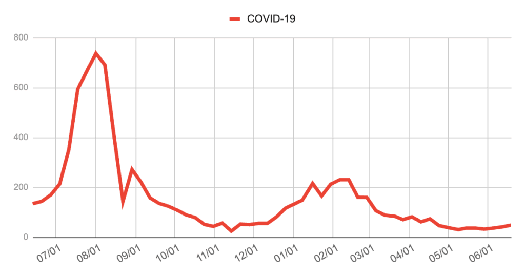 新型コロナウイルス（COVID-19）の過去1年間の報告数推移を示す折れ線グラフ。2023年7月下旬から急増し、8月初旬に約750件のピークを記録。その後は急激に減少し、年末から翌年3月にかけて一時的に小さな波が再燃。2024年5月以降はおおむね低水準で安定して推移している。