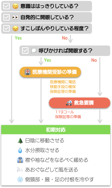 熱中症が疑われる人への初期対応フローチャート。意識レベルや開眼状況に応じて、医療機関の受診準備または119番通報を判断し、日陰への移動、水分補給、衣類の緩和、風を送る、冷却などの対応を案内。