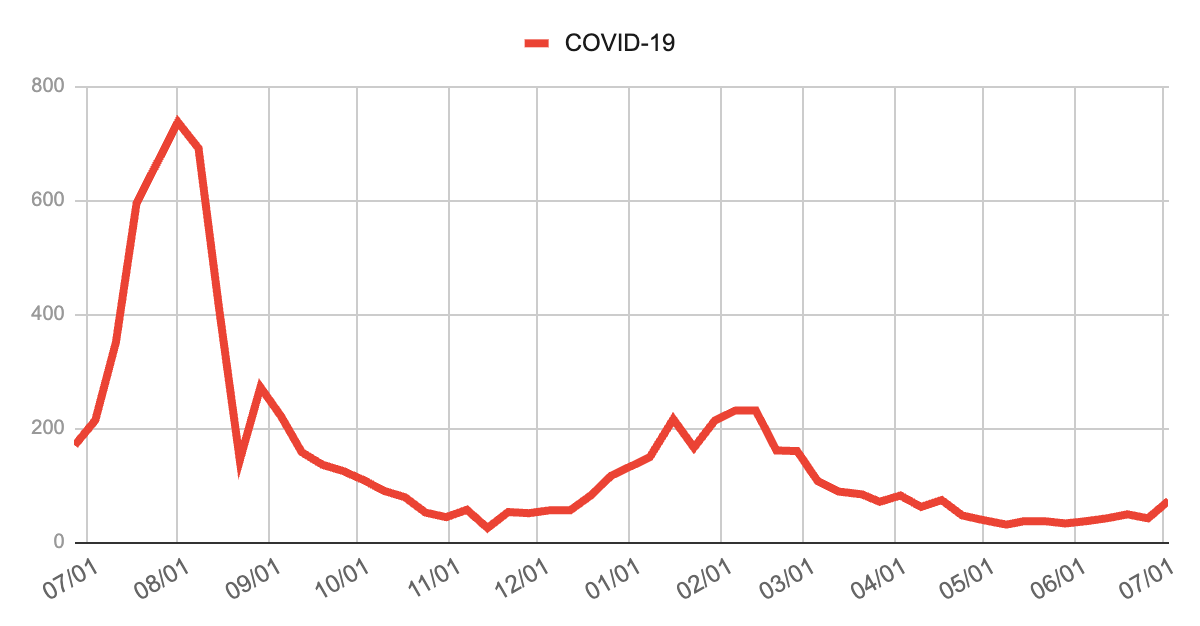 COVID-19の年間報告数推移（2024年7月〜2025年7月）」を示す折れ線グラフ。2024年夏に報告数が急増し、8月初旬にピーク（約750件）を記録。その後は減少傾向が続き、2025年2〜3月にやや持ち直すも再び低下。最新週はやや上昇している。
