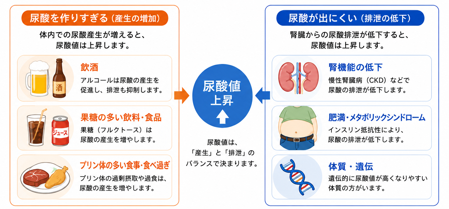 ChatGPT Image 2026年6月30日 18_37_57 | 芦屋市の内科・皮膚診療・小児診療 | あしやサニークリニック内科 高尿酸血症の原因を示した模式図。尿酸値は「尿酸を作りすぎる(産生の増加)」または「尿酸が出にくい(排泄の低下)」ことで上昇することを示し、飲酒、果糖の多い飲料・食品、プリン体の多い食事・食べ過ぎ、腎機能の低下、肥満・メタボリックシンドローム、体質・遺伝などの主な原因を解説している。